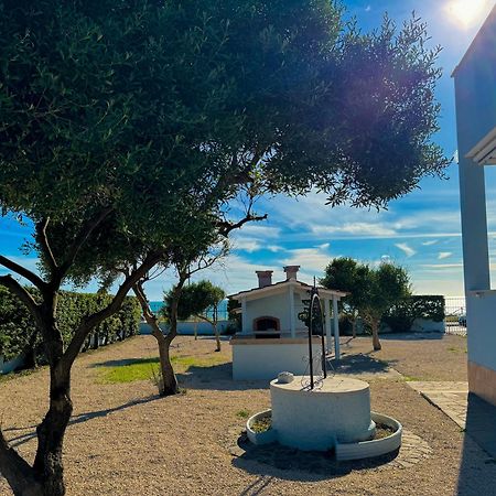 Edo House Anzio - Beachfront - Fronte Mare - Affittacamere Dış mekan fotoğraf