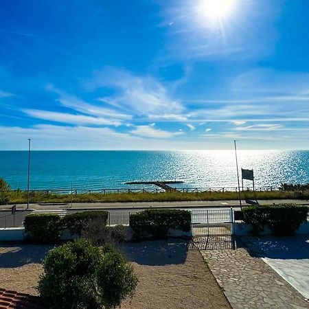 Edo House Anzio - Beachfront - Fronte Mare - Affittacamere Dış mekan fotoğraf