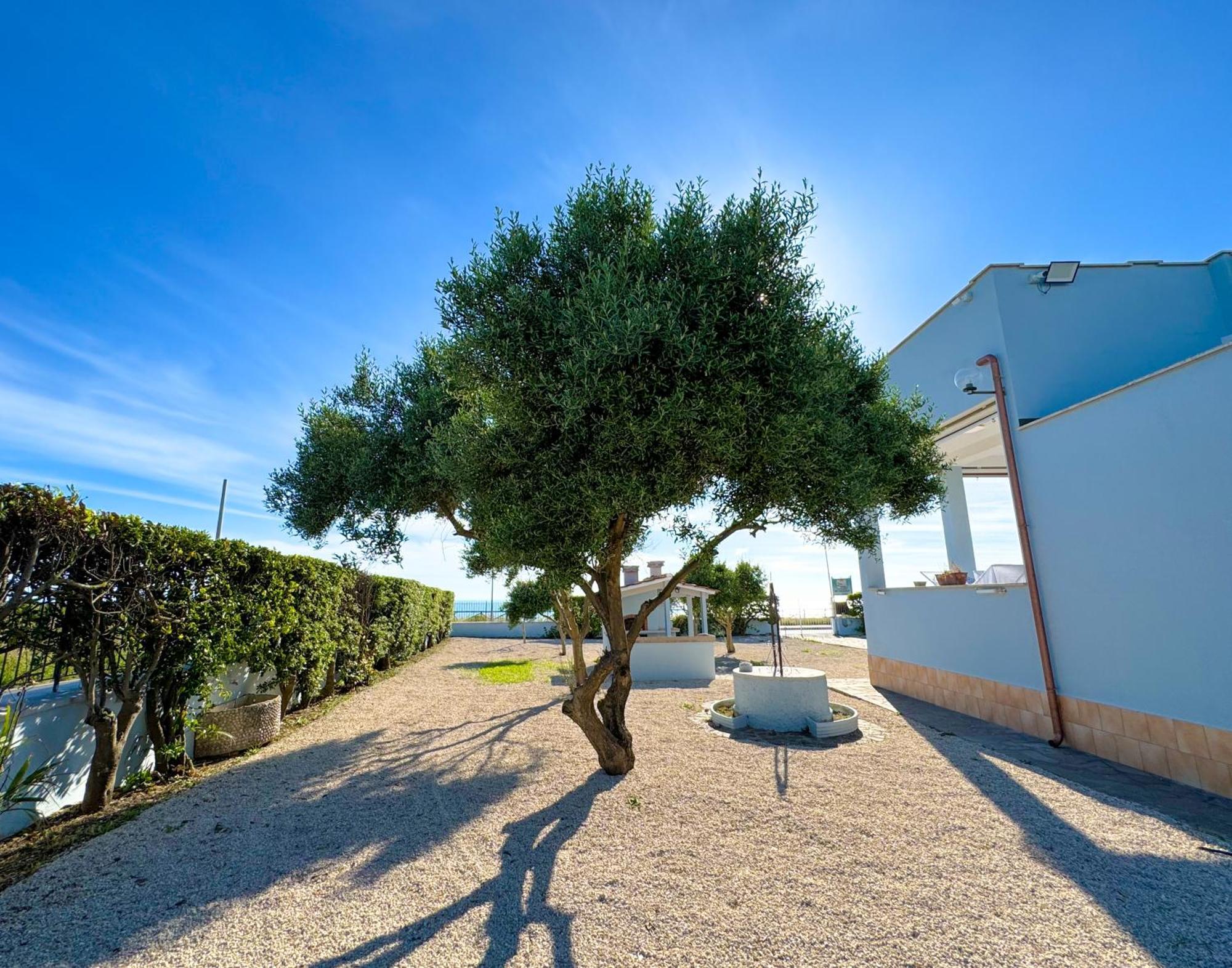 Edo House Anzio - Beachfront - Fronte Mare - Affittacamere Dış mekan fotoğraf